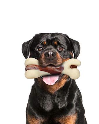 Are Pork Rib Bones Bad For Dogs