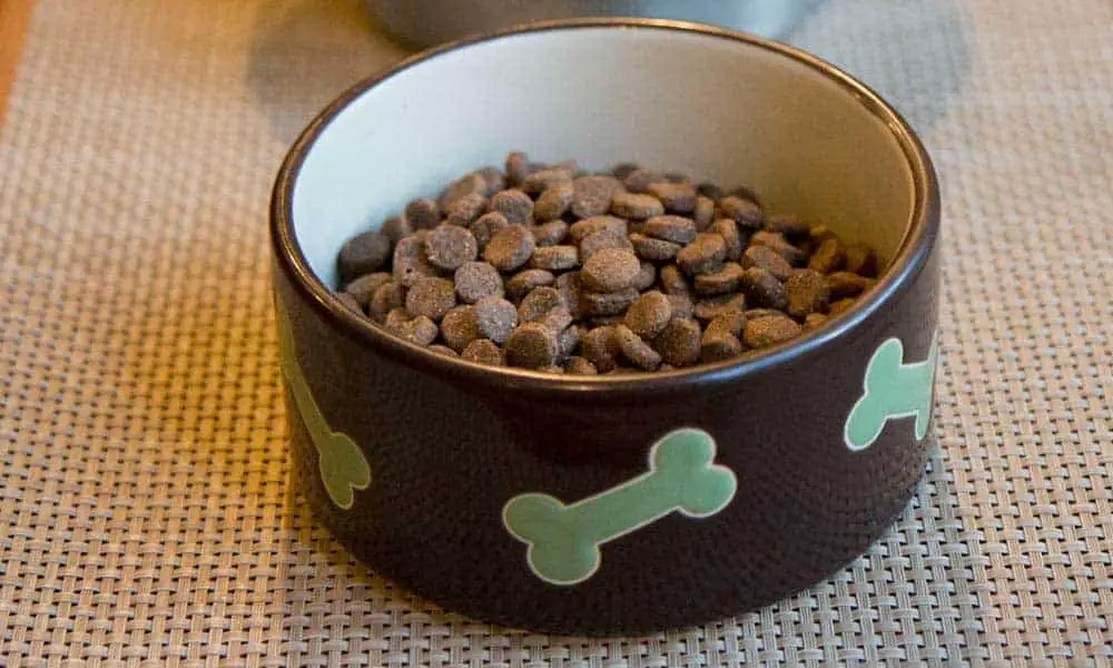 Should Dogs Eat the Same Food Every Day My Opinion Mr Dog Food