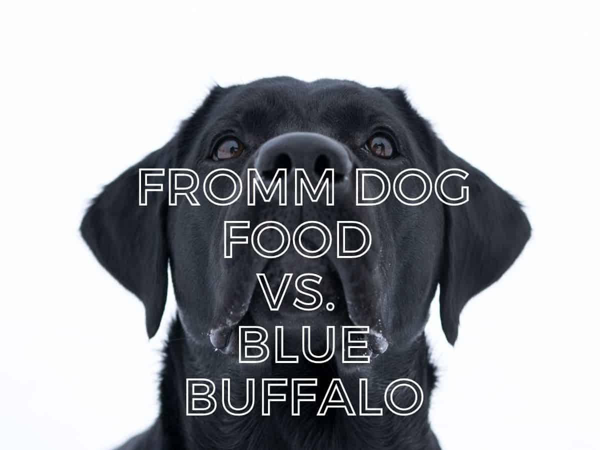 Fromm Dog Food vs. Blue Buffalo: Pros and Cons of Each ...