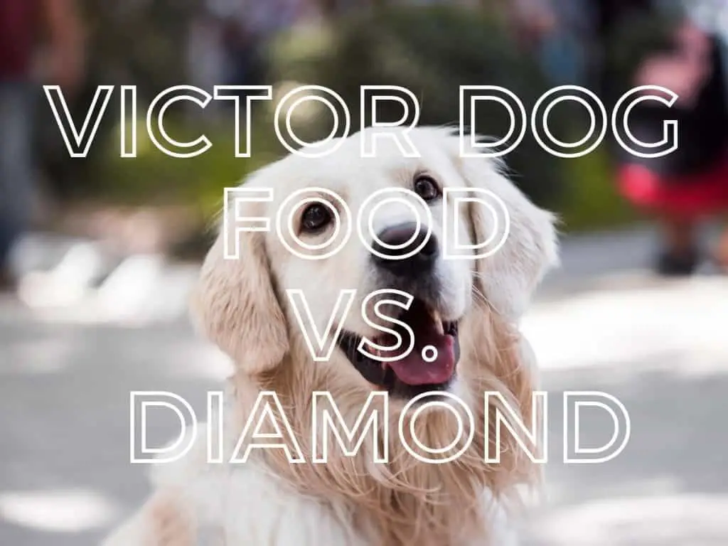 Victor Dog Food vs. Diamond