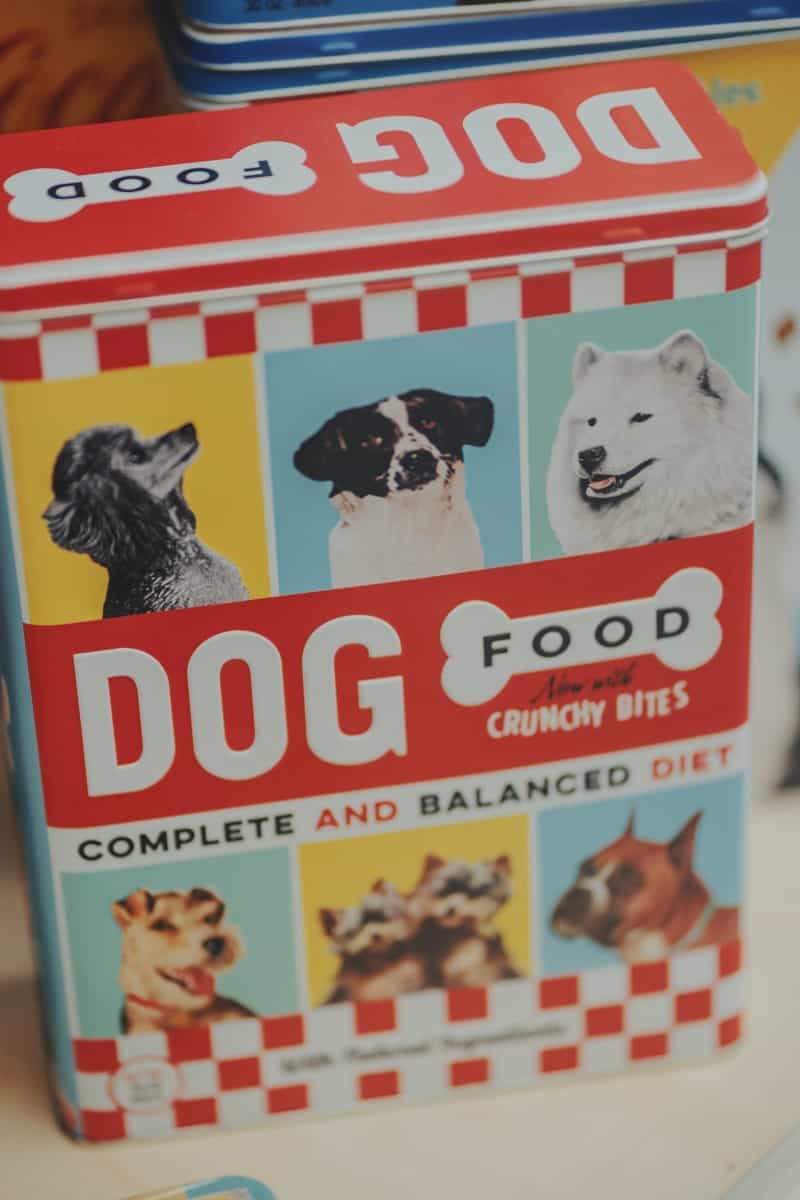 dog food for smelly dogs