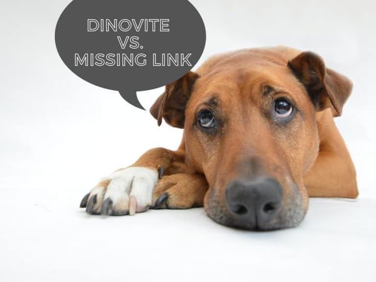 Dinovite vs. Missing Link Pros & Cons of Each Mr Dog Food