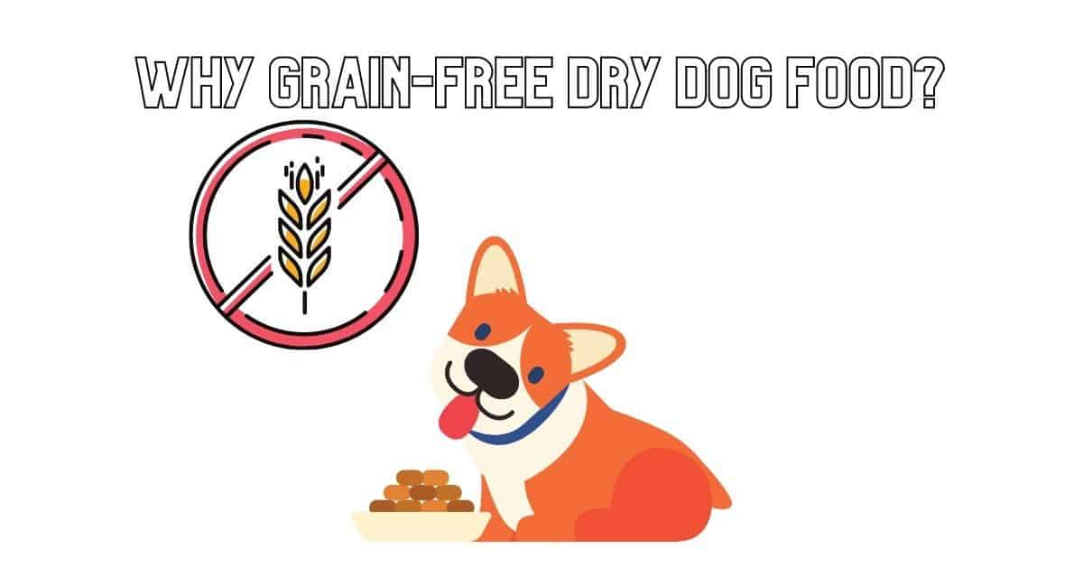 Dog Food Diet Why GrainFree Dry Dog Food? Mr Dog Food