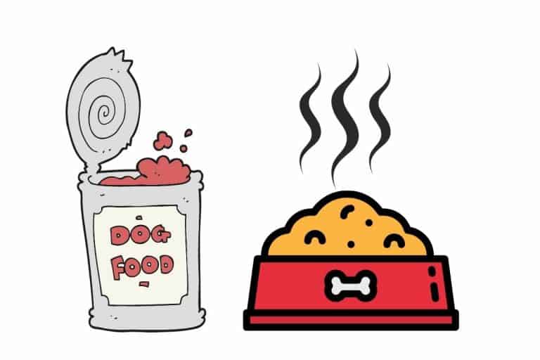 A Guide to Heating Canned Dog Food (How and Why To Do It) Mr Dog Food