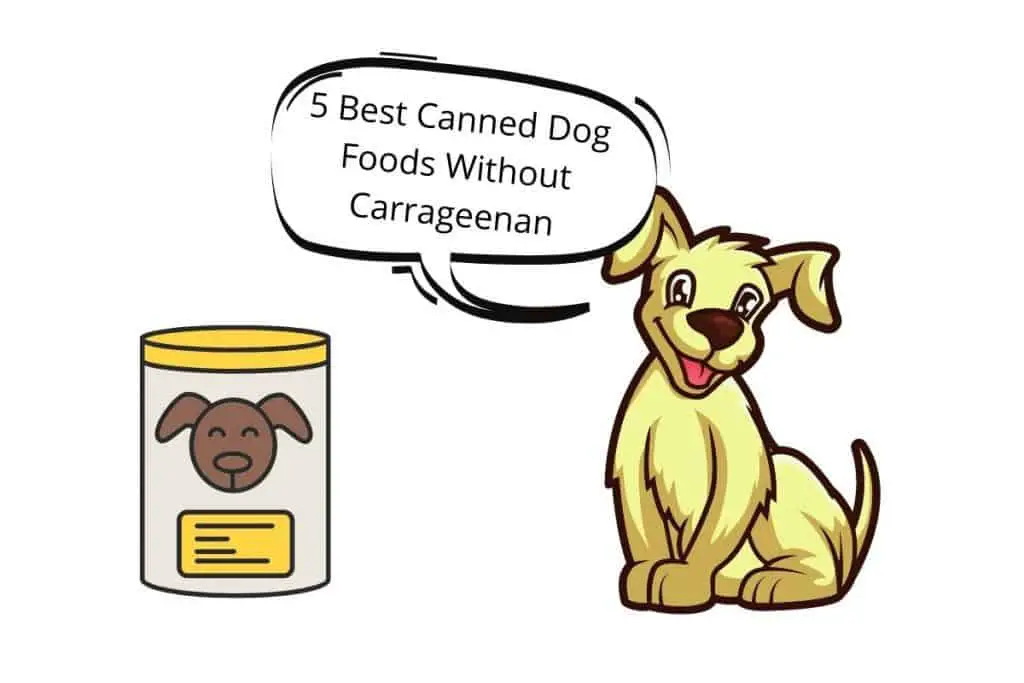 A dog with a speech bubble saying "5 Best Canned Dog Foods Without Carrageenan"