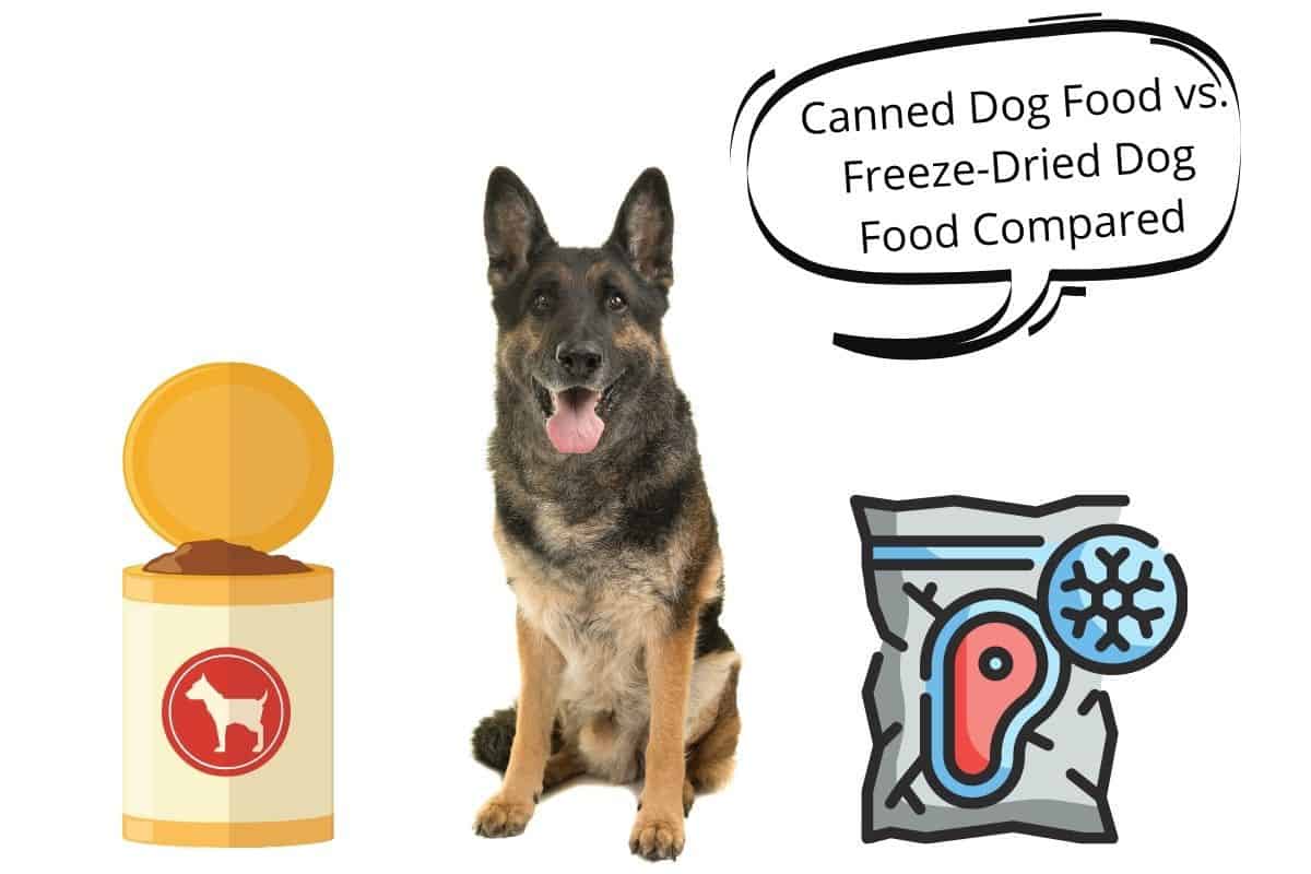 canned-dog-food-vs-freeze-dried-dog-food-compared-mr-dog-food