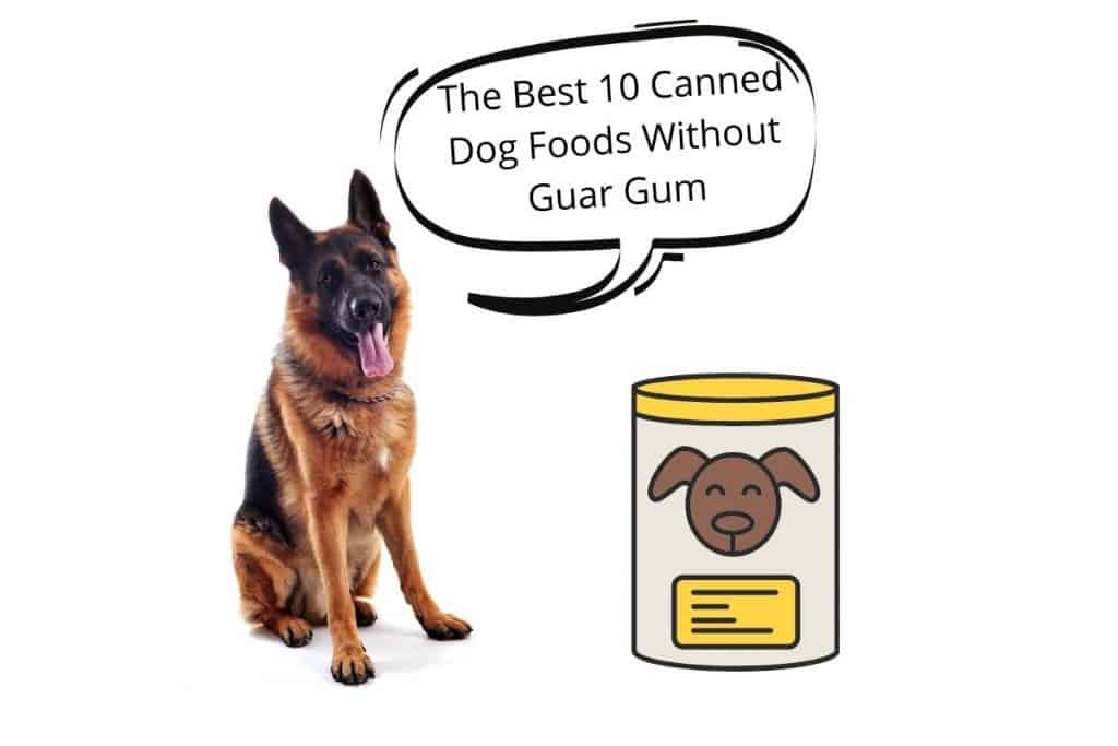 Canned Dog Food Mr Dog Food