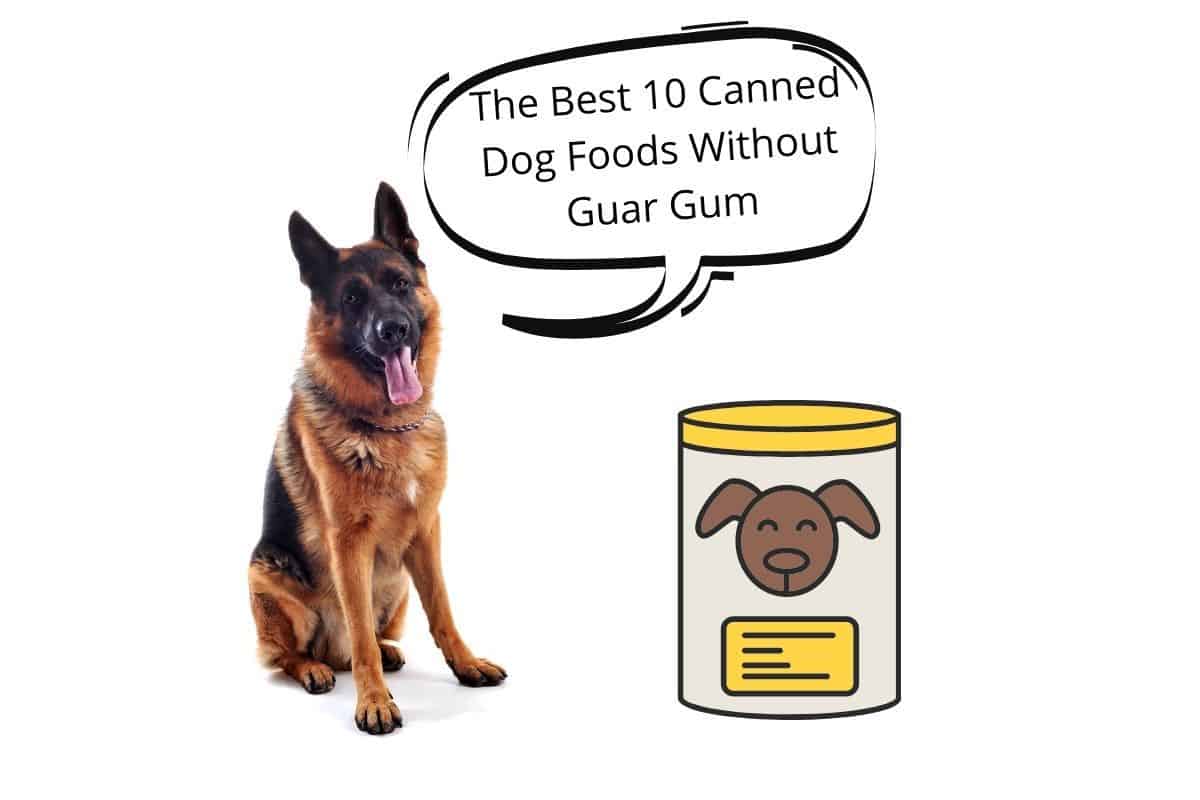 The Best 10 Canned Dog Foods Without Guar Gum Mr Dog Food