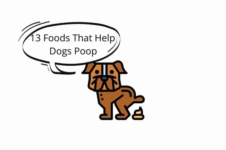 13 Foods That Help Dogs Poop Mr Dog Food