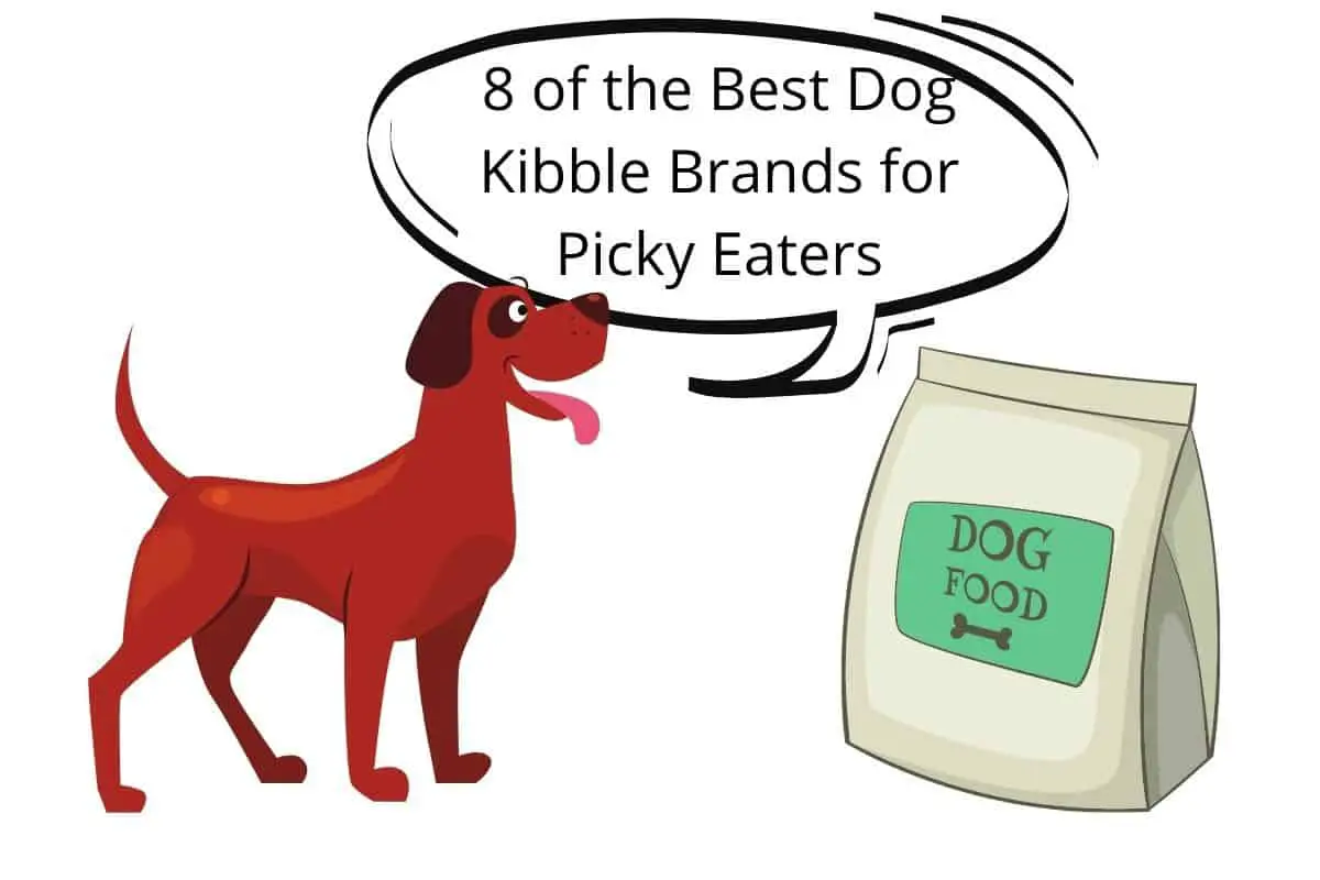 Dog witha a speach bubble saying "8 of the Best Dog Kibble Brands for Picky Eaters"