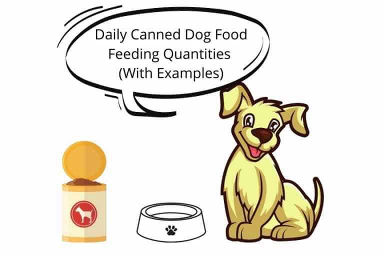 Daily Canned Dog Food Feeding Quantities (With Examples) Mr Dog Food