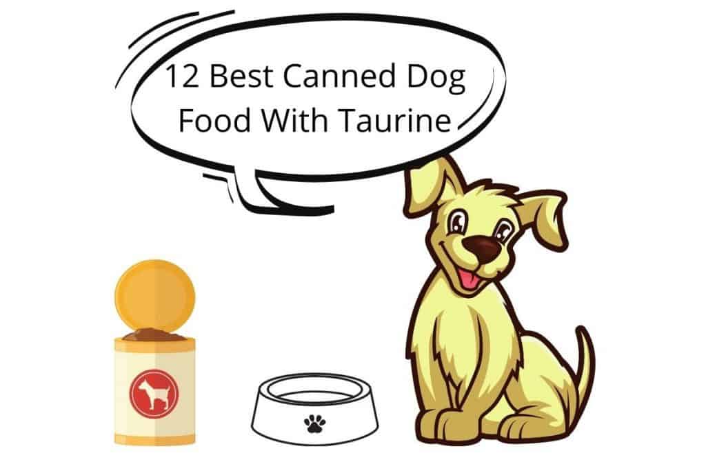taurine in dog food