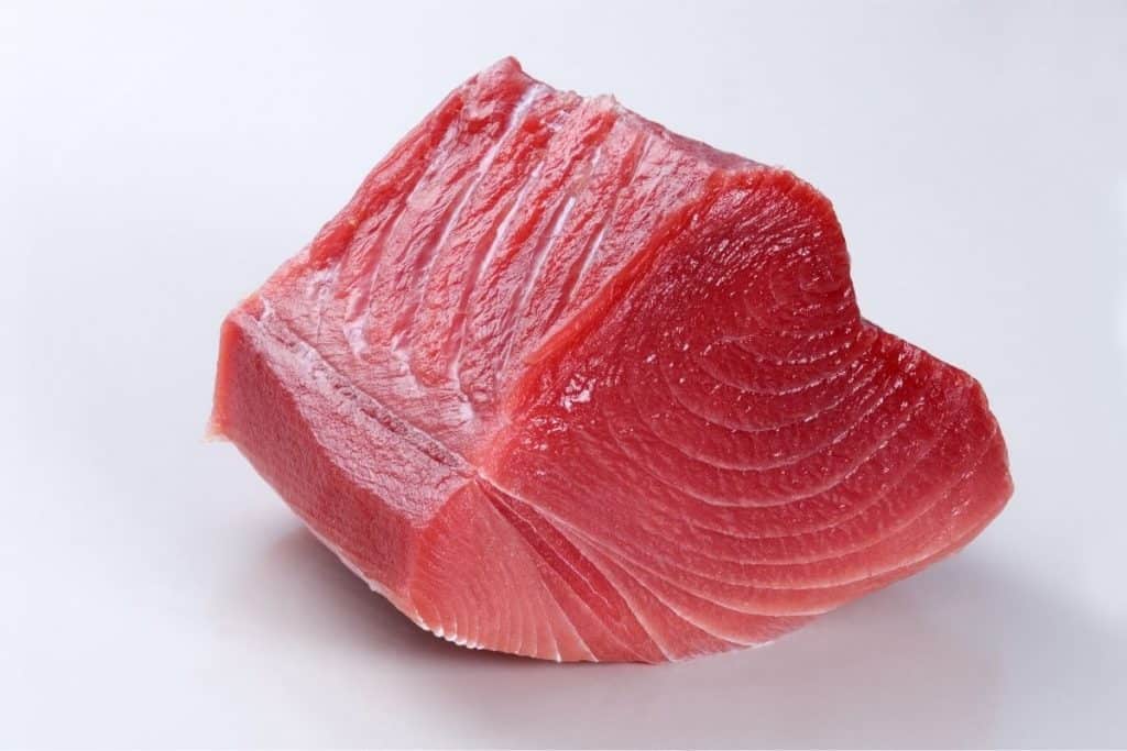 tuna on white background