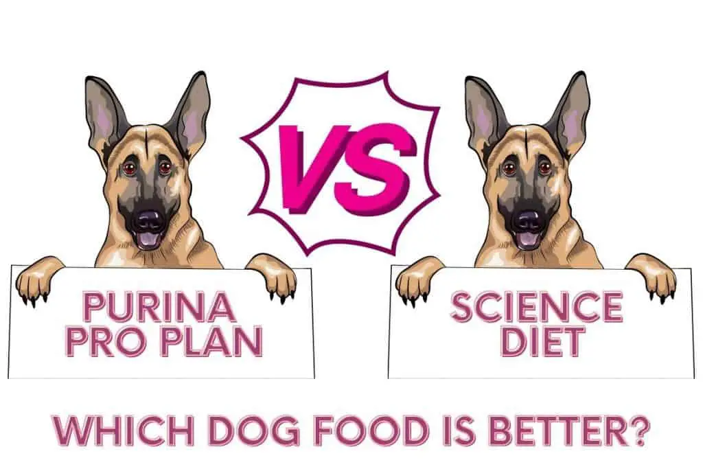 Purina vs Science which dog food is better?