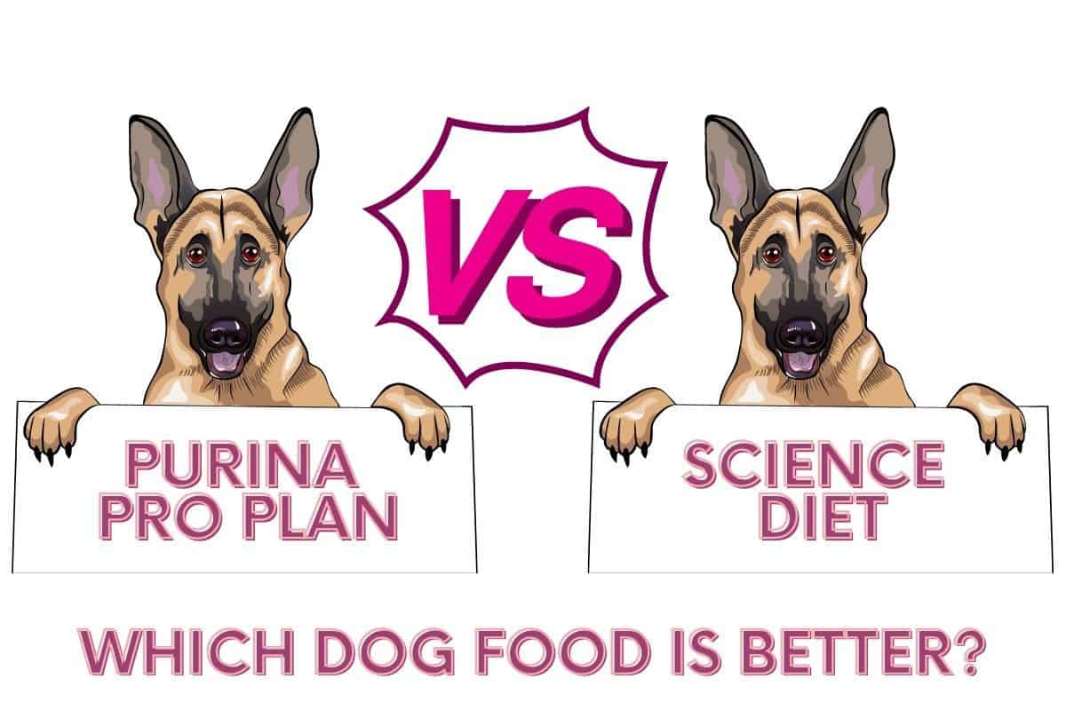 purina-pro-plan-vs-science-diet-which-dog-food-is-better-mr-dog-food