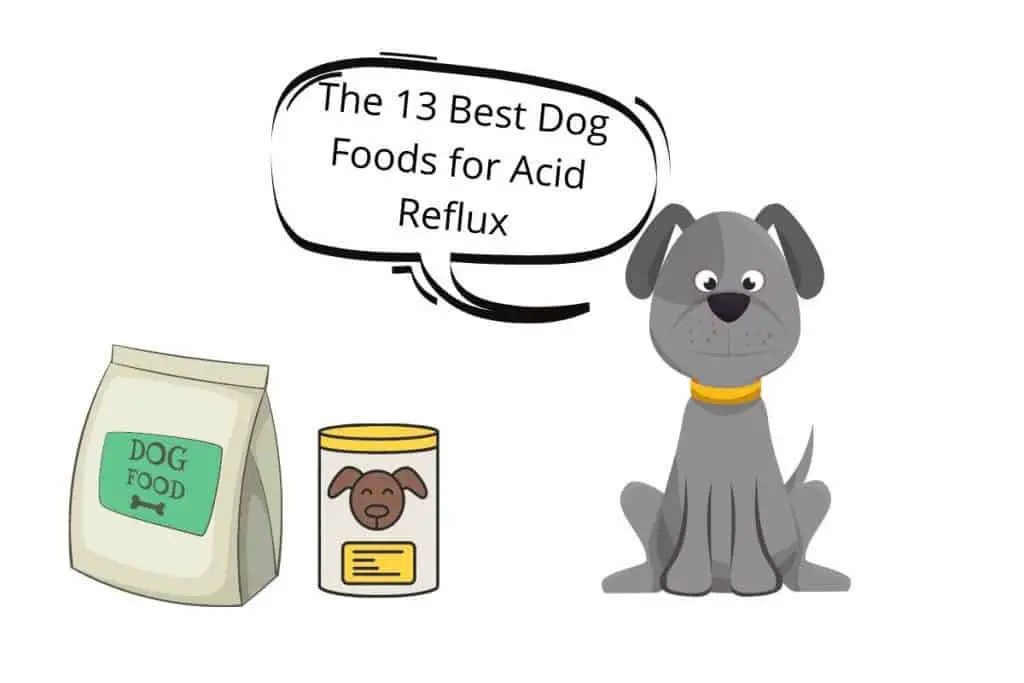 Dog with speechbubble"The 13 Best Dog Foods for Acid Reflux"