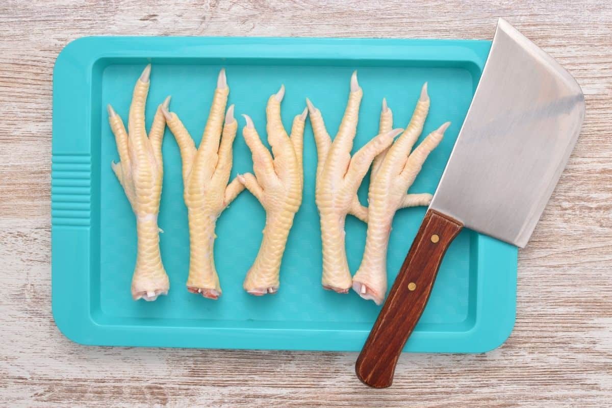 Can Dogs Eat Chicken Feet? (We Ask the Experts) – Mr Dog Food