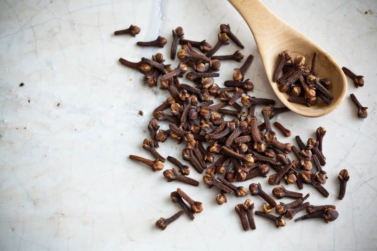 Can Dogs Eat Cloves? Is It Toxic? Mr Dog Food