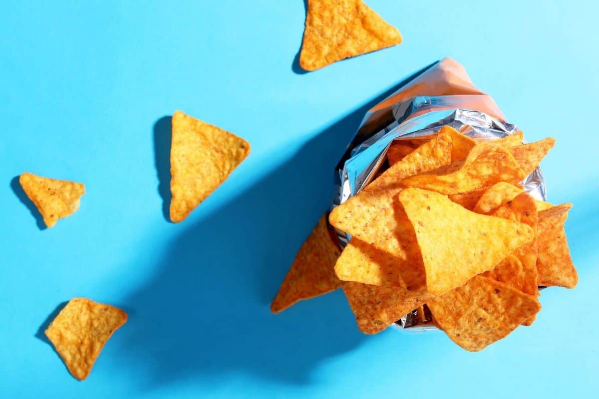 Can Dogs Eat Doritos? Should They Really? - Mr Dog Food