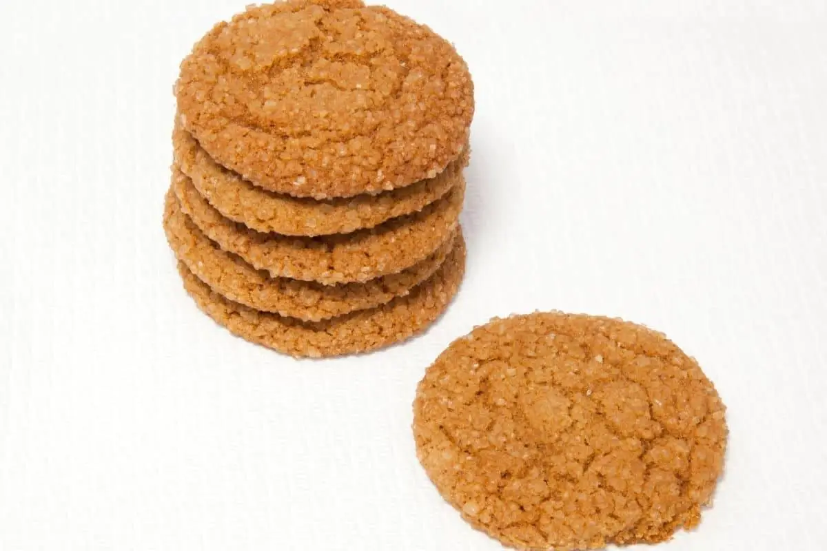 Can Dogs Eat Ginger Snaps: Yay or Nay? - Mr Dog Food