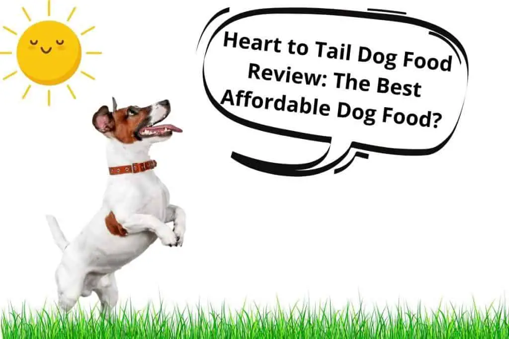 Heart to tail dog food review
