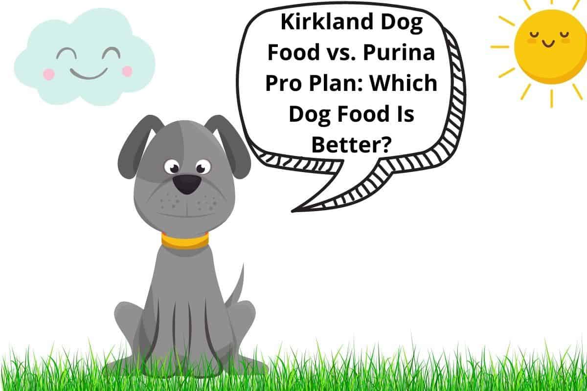 Kirkland Dog Food vs. Purina Pro Plan Which Dog Food Is Better? Mr