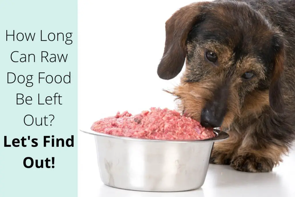 Can Dogs Eat Raw Pork? (We Ask the Experts) Mr Dog Food