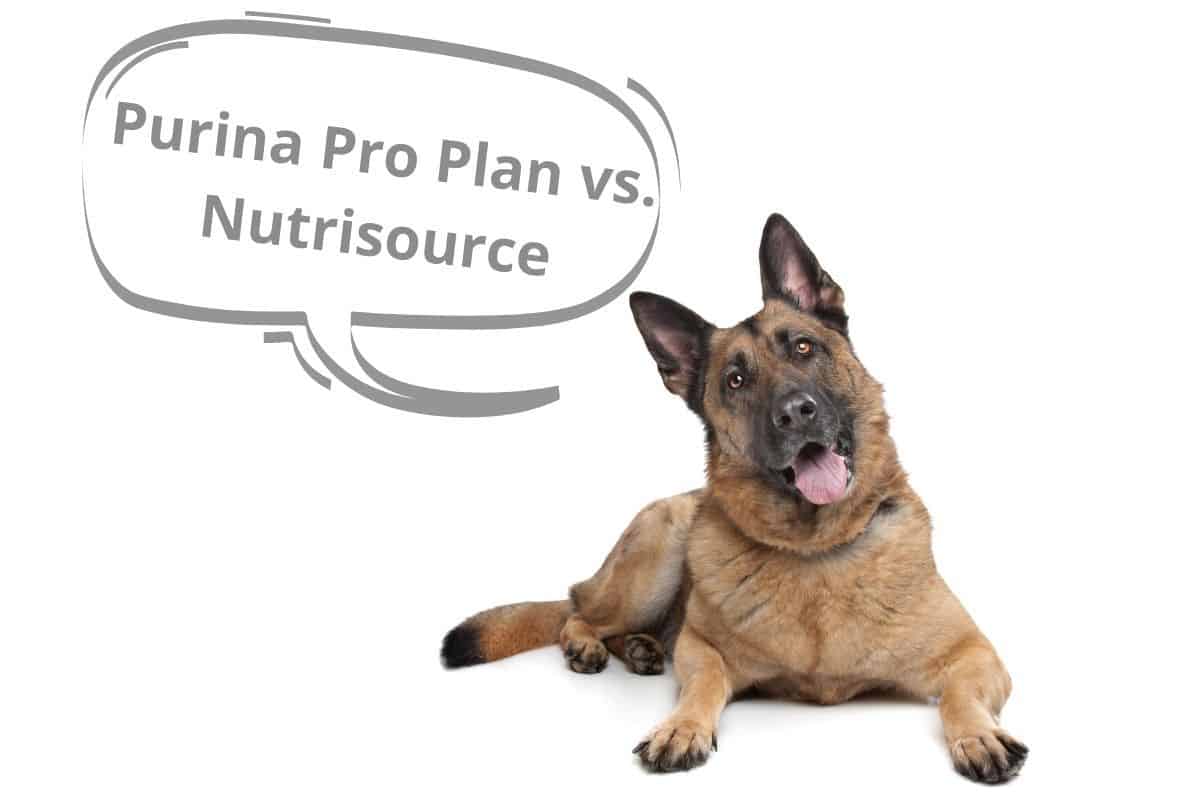 purina-pro-plan-vs-nutrisource-which-dog-food-is-better-mr-dog-food