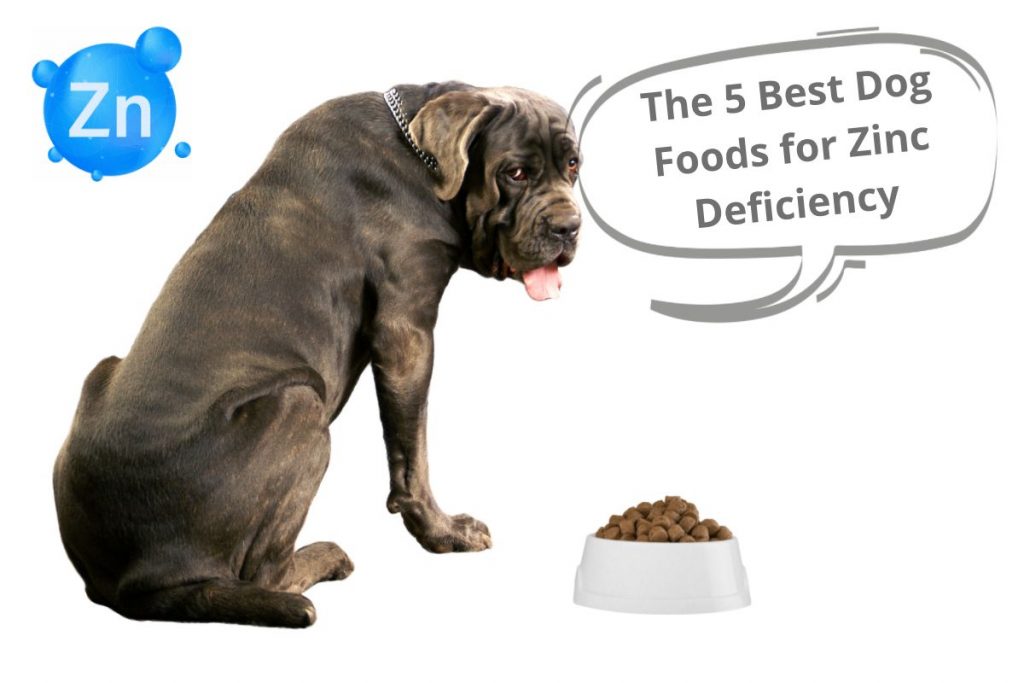 The 5 Best Dog Foods for Zinc Deficiency