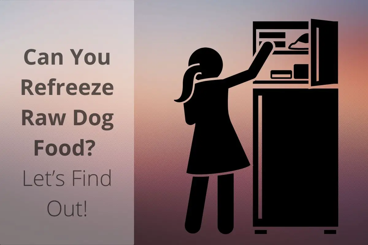 Can You Refreeze Raw Dog Food? Let’s Find Out! Mr Dog Food