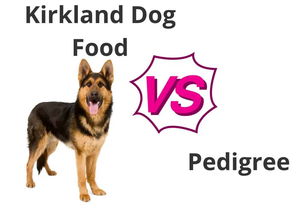 Kirkland Dog Food vs Pedigree Pros & Cons of Each Brand Mr Dog Food